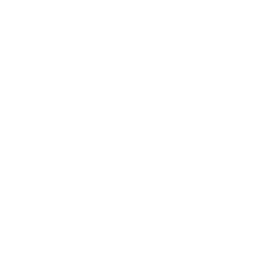 Copenhagen Sparkling Tea Co.